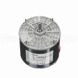 X909 Marathon Motor