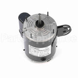X920 Marathon Pedestal Fan Motor
