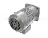 XA-8038-3 Globe Motor, Bowl Raise 1/8 Hp New