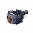 Y981 Marathon Variable Speed Motor