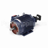 Y981 Marathon Variable Speed Motor