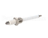 Z014356 Groen Electrode Water Level