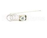 Z041700 Groen Thermostat