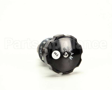 Z055279 Groen Valve Globe 3/8 Npt