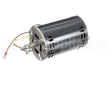 Z074516 Groen Motor 3382Rpm 1/4 Hp