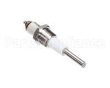Z076526 Groen Water Level Probe, Ngb-2 Boile