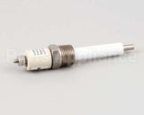 Z079811 Groen Probe Low Water Level