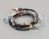 Z094123 Groen Hy-3E Power Harness 208/240