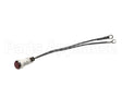 Z1-301013 Star Pilot Light Assembly 240V