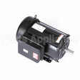 Z115 Marathon Motor