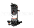 ZP28K5E-PFV-830 International Comfort Pro Compressor