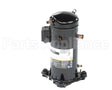 ZP83KCE-TF5-7M7 International Comfort Pro Compressor